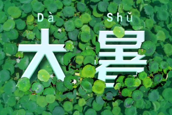 巨邦機械 | 大暑已至,長夏未央