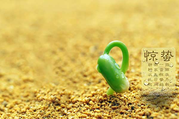 山東巨邦機(jī)械有限公司 | 驚蟄：桃花始開，自此